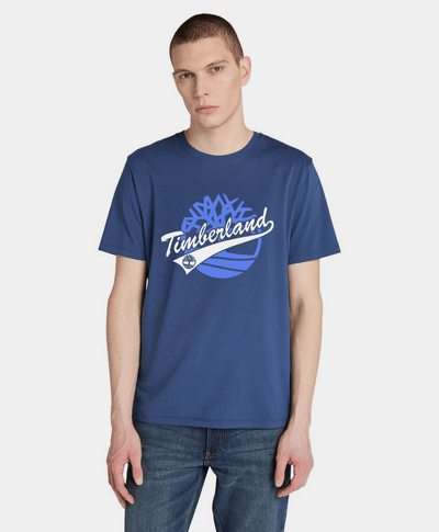 Playera Regular Fit Grafico Frontal Para Hombre, Azul