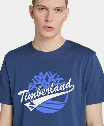 Playera Regular Fit Grafico Frontal Para Hombre, Azul