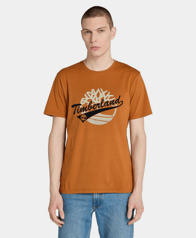 Playera Regular Fit Grafico Frontal Para Hombre, Café