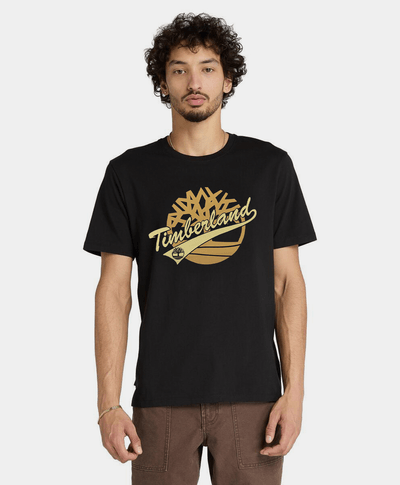 Playera Regular Fit Grafico Frontal Para Hombre, Negro