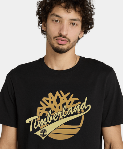 Playera Regular Fit Grafico Frontal Para Hombre, Negro