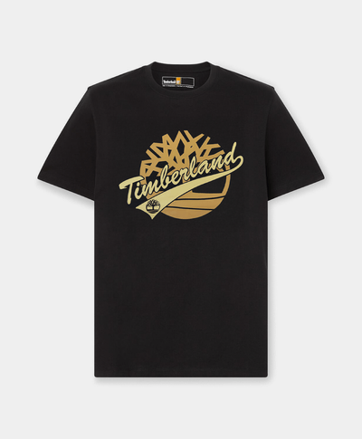 Playera Regular Fit Grafico Frontal Para Hombre, Negro