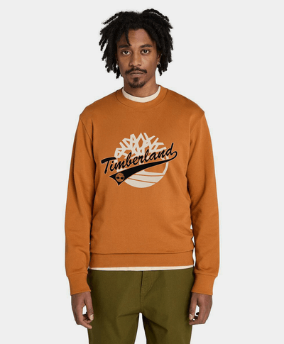 Sudadera Regular Fit Grafico Para Hombre, Café