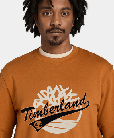 Sudadera Regular Fit Grafico Para Hombre, Café