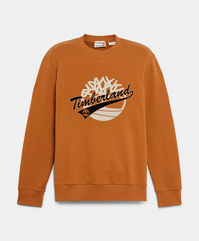 Sudadera Regular Fit Grafico Para Hombre, Café