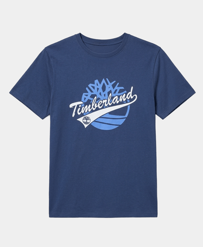 Playera Regular Fit Grafico Frontal Para Hombre, Azul